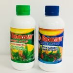 Broncolin